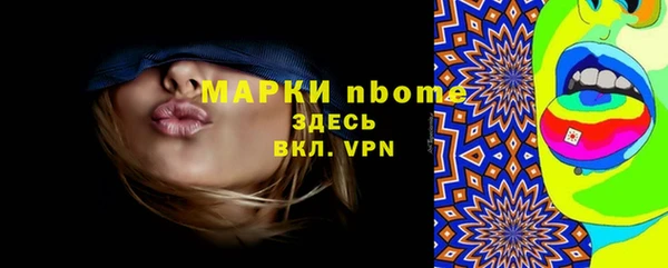 гашик Новозыбков