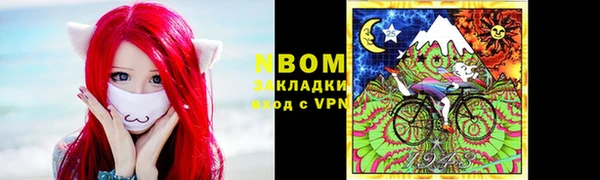 гашик Новозыбков