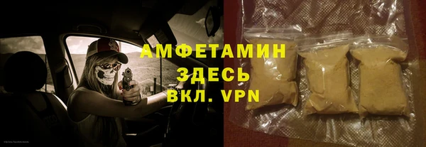 гашик Новозыбков