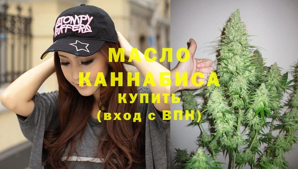 гашик Новозыбков
