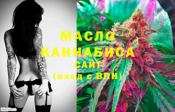 гашик Новозыбков