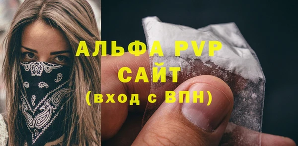 гашик Новозыбков