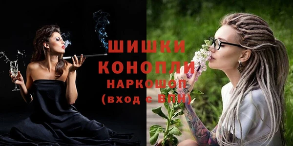 гашик Новозыбков