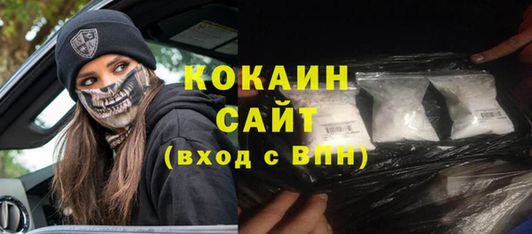 гашик Новозыбков