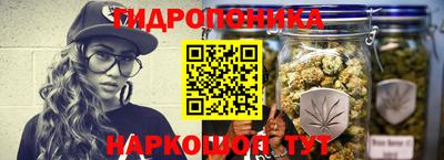 ALPHA-PVP Гай