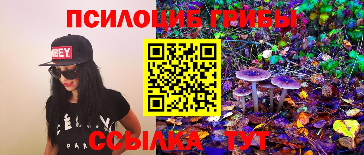 Псилоцибиновые грибы Magic Shrooms Лосино-Петровский