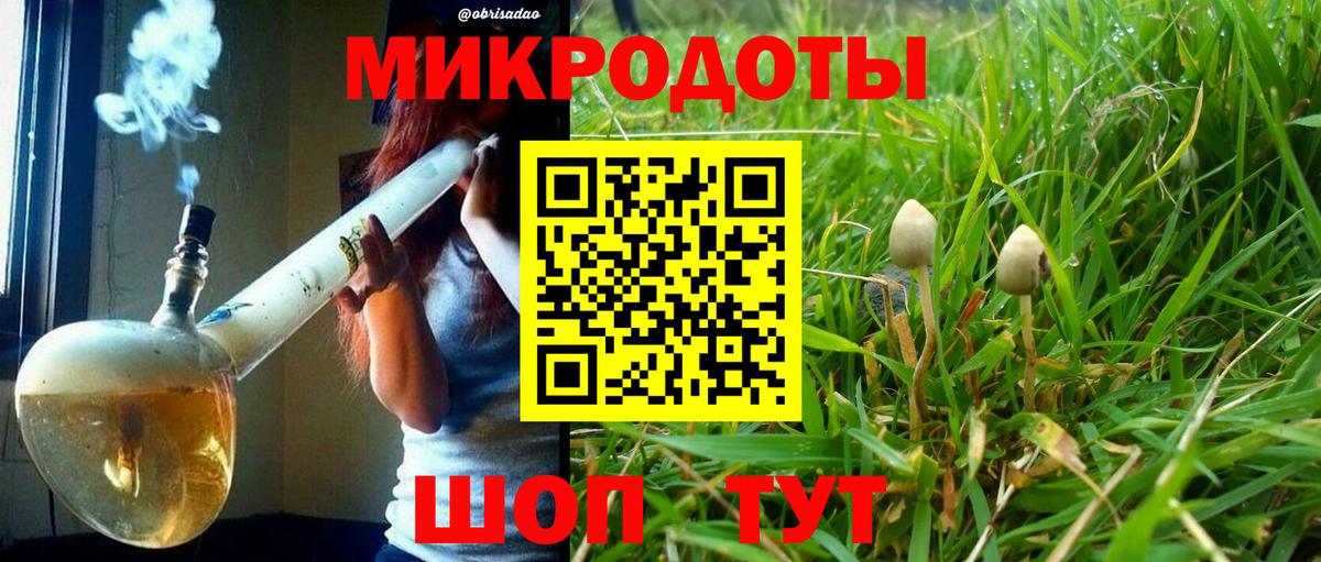 Лосино-Петровский  Галлюциногенные грибы GOLDEN TEACHER  Вход с VPN  Псилоцибиновые грибы мицелий 